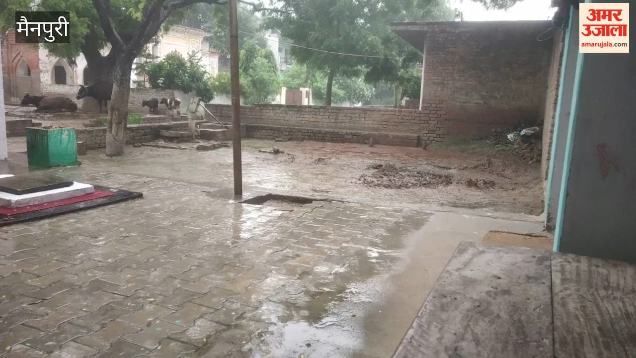Heavy rains bring cheer to farmers, bring relief to rice, maize, and millet crops