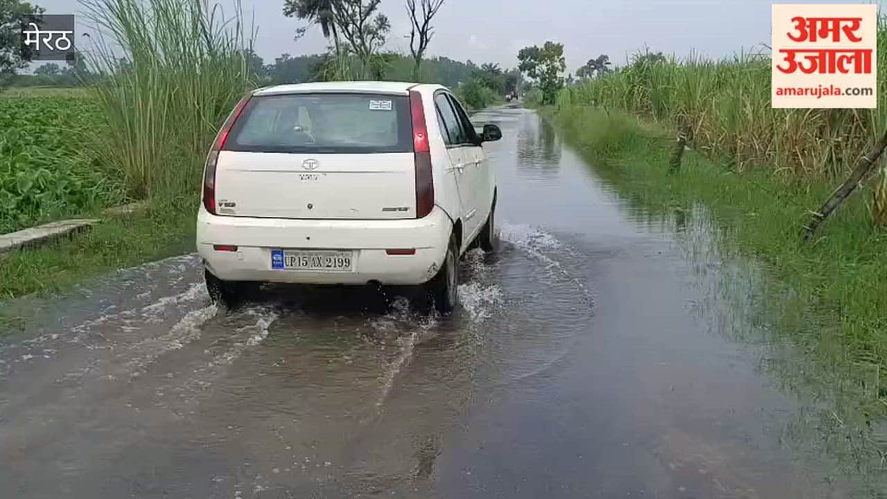 Meerut: Continuous Rain Leaves Several Roads Waterlogged in Hastinapur Khadar Area