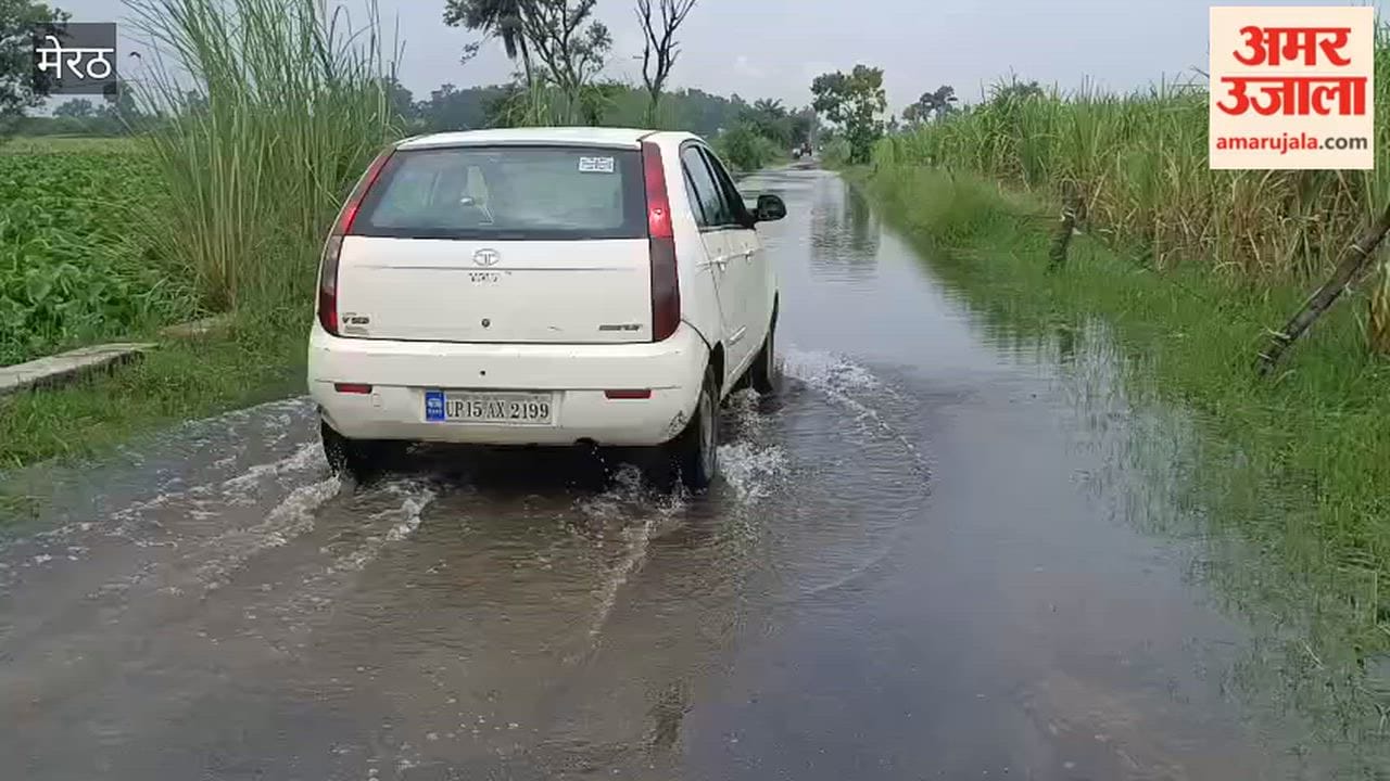 Meerut: Continuous Rain Leaves Several Roads Waterlogged in Hastinapur Khadar Area
