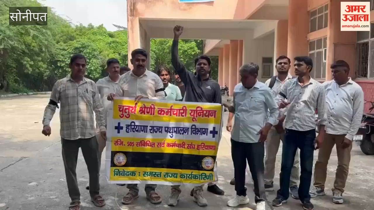 Employees of the Sonipat Animal Husbandry Department expressed their protest by wearing black badges.