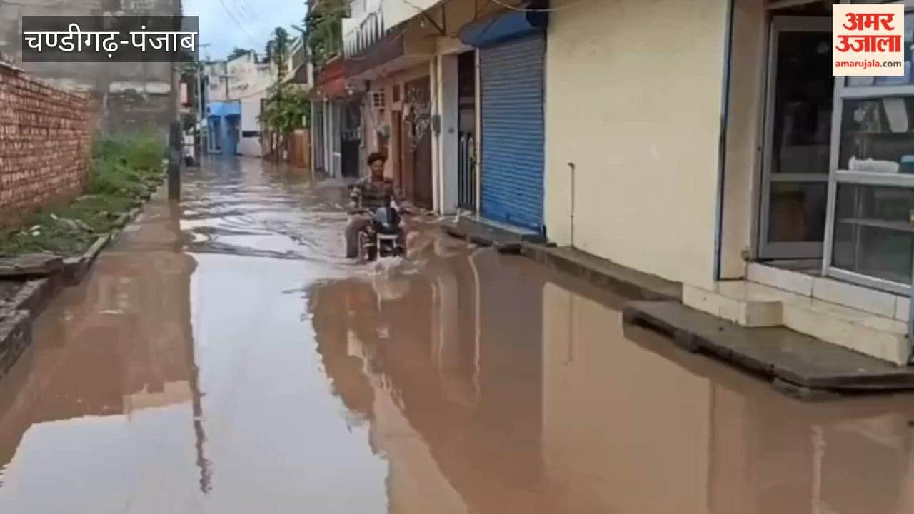 Residents of Ropar troubled by rainwater and sewage issues.