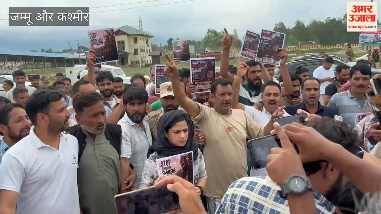 Iltija Mufti protests in support of apple farmers