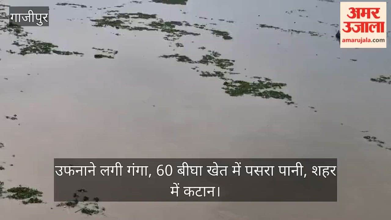 Ganga begins to swell water spreads across 60 bighas of farmland erosion city