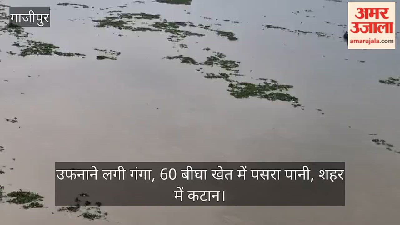 Ganga begins to swell water spreads across 60 bighas of farmland erosion city