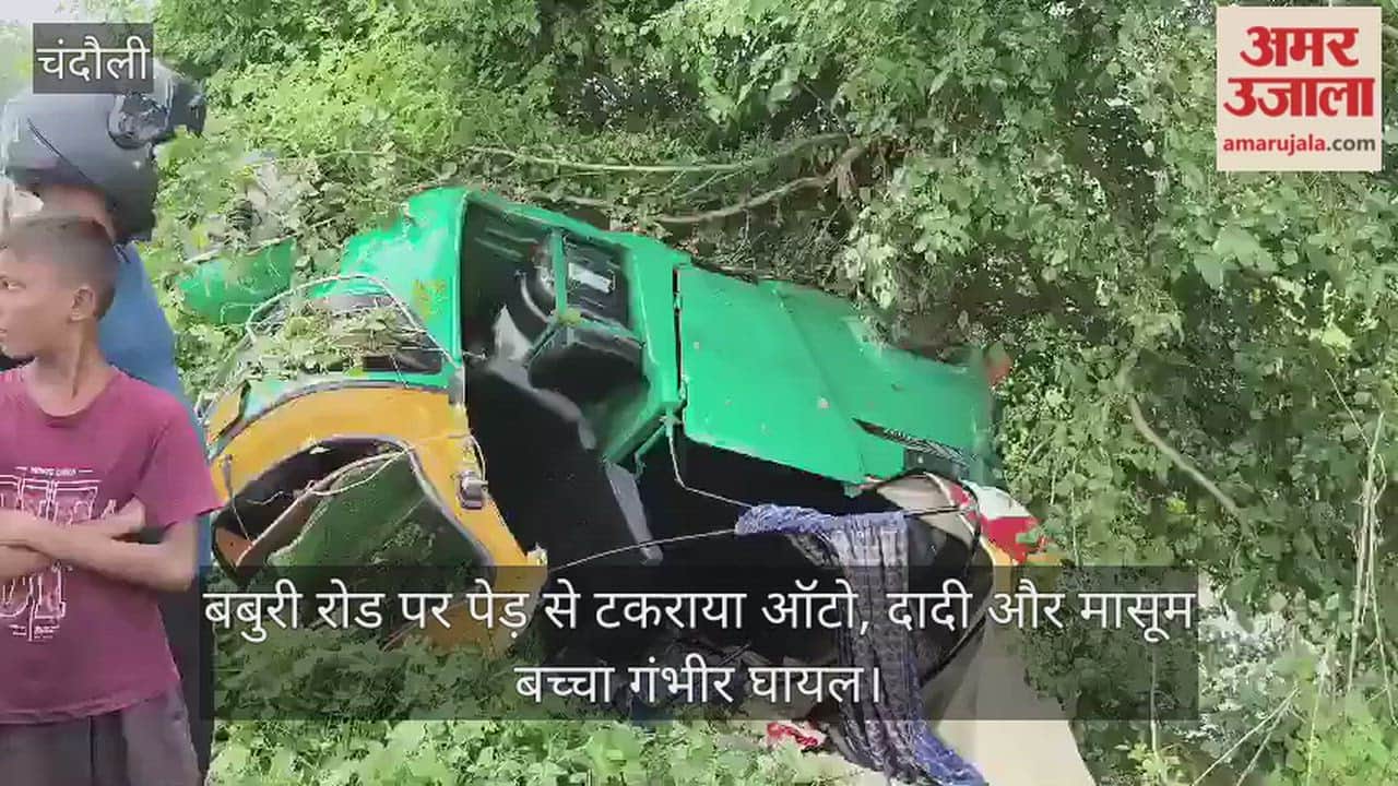 Auto-rickshaw crashes into a tree on Baburi Road; grandmother and young child critically injured
