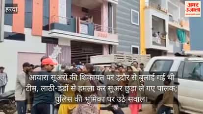Harda News: Pig-Catching Team Attacked with Sticks and Stones in Front of Police; Vehicles Vandalised