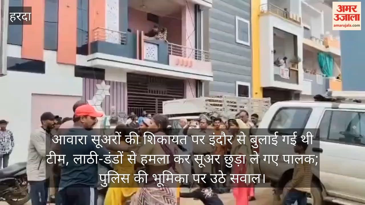 Harda News: Pig-Catching Team Attacked with Sticks and Stones in Front of Police; Vehicles Vandalised