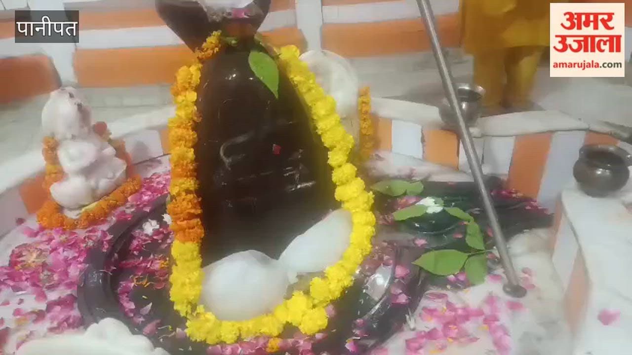 In Panipat, devotees performed *Abhishek* (ritual bathing of the deity) after offering prayers at temples on the Thursday of the Sawan month.