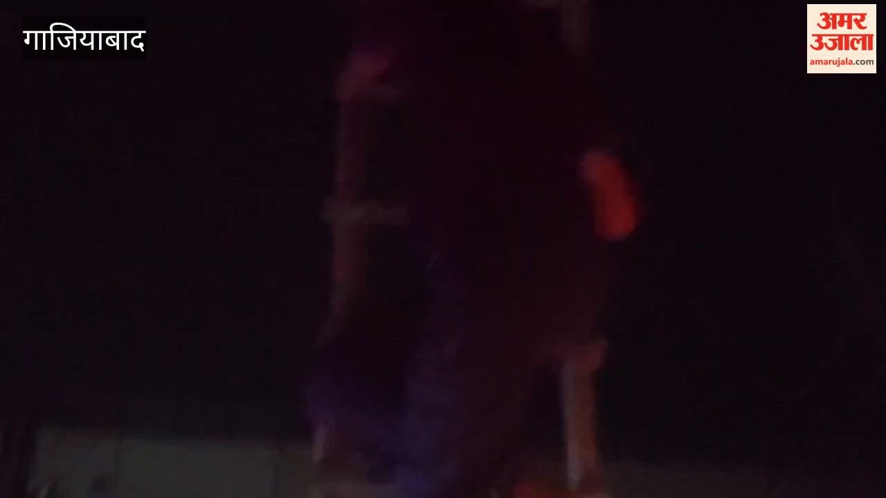 Tricolour was set right which had been placed upside down on martyr statue
