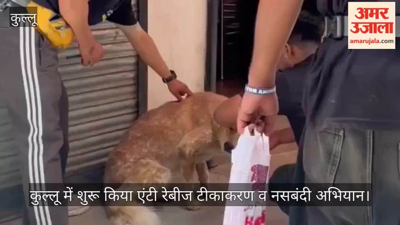 Anti-rabies vaccination and sterilization campaign launched in Kullu.