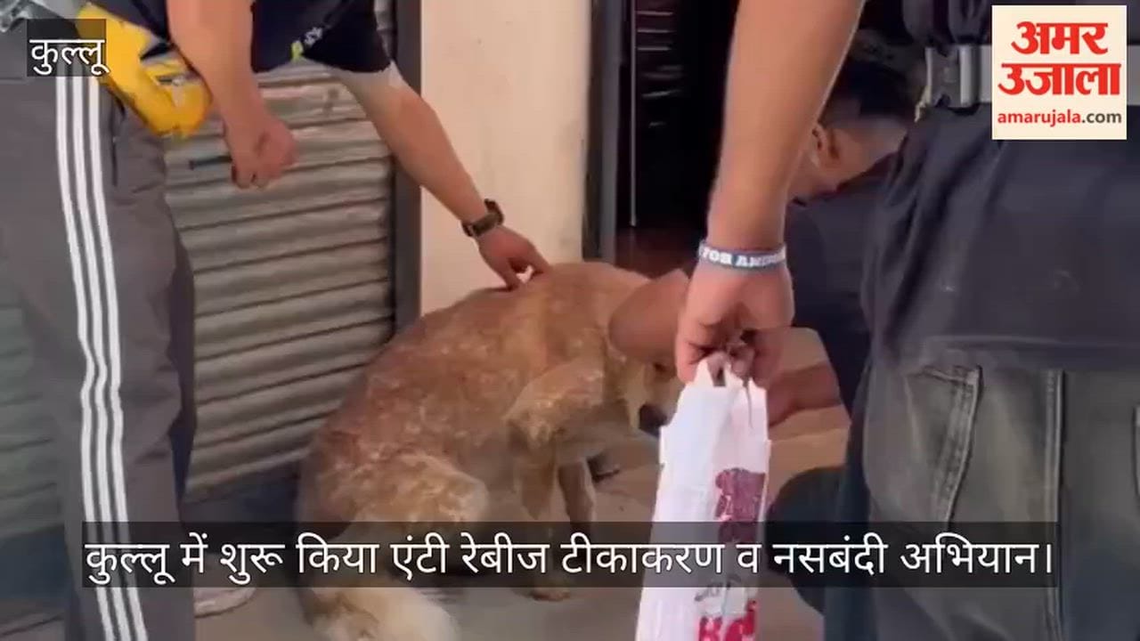 Anti-rabies vaccination and sterilization campaign launched in Kullu.
