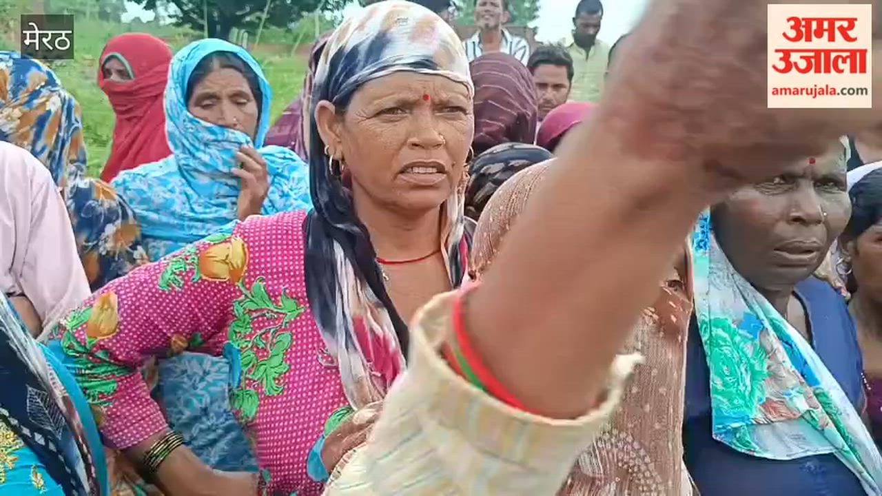 Bijnor: Leopard Kills Six-Year-Old Boy, Remains Found in Sugarcane Field