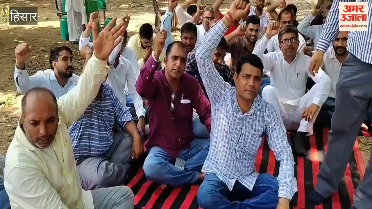 Patwaris and Kanungos in Hansi observe a two-day token strike; several tasks, including property registration and mutation, are stalled.