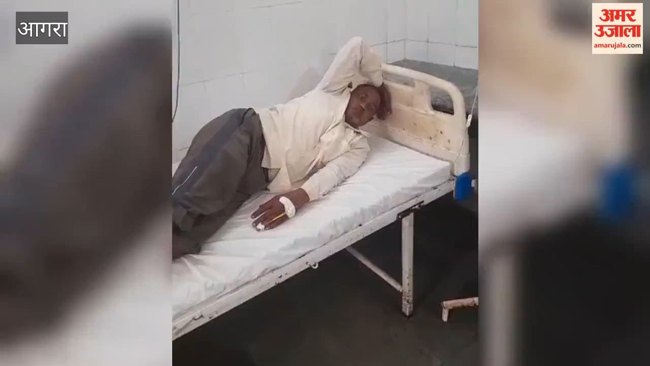 A snake wrapped around a farmer's leg bit him; he killed the snake and rushed it to the hospital.
