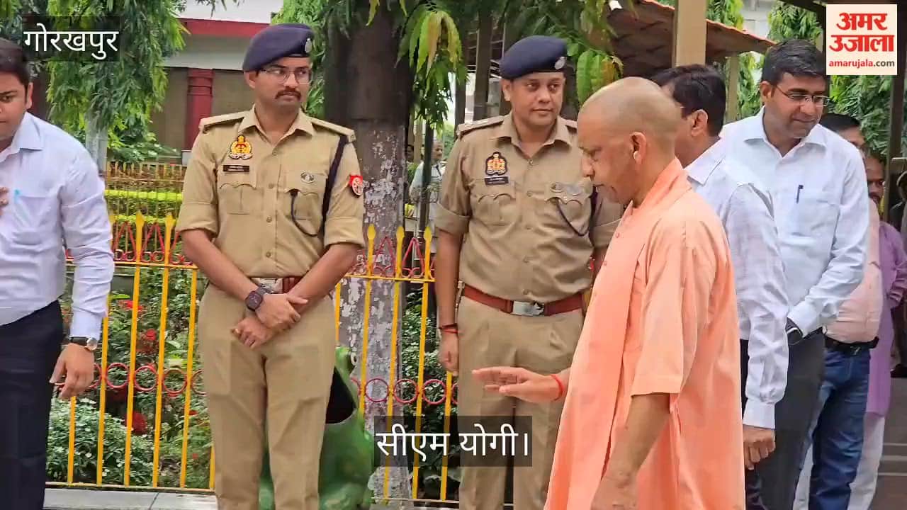 'If a path cannot be provided, suspend everyone—from the Lekhpal and Kanoongo to the Tehsildar': CM
