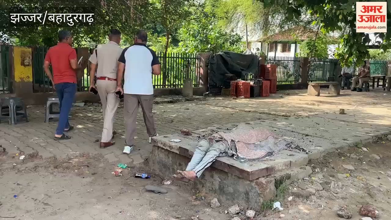 Youth murdered by being struck on the head with bricks and stones on Patel Nagar Road in Bahadurgarh.