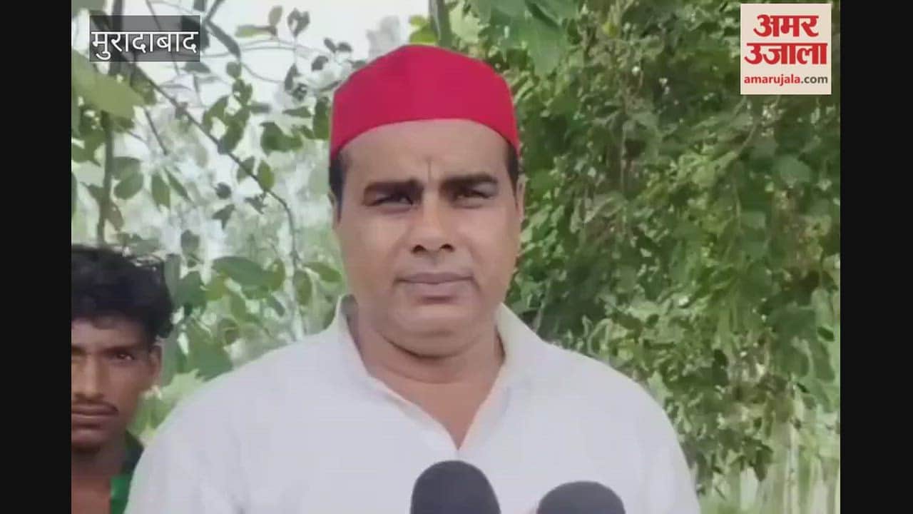 Bilari MLA makes controversial remark; calls Dimple Yadav the 'mother of the nation