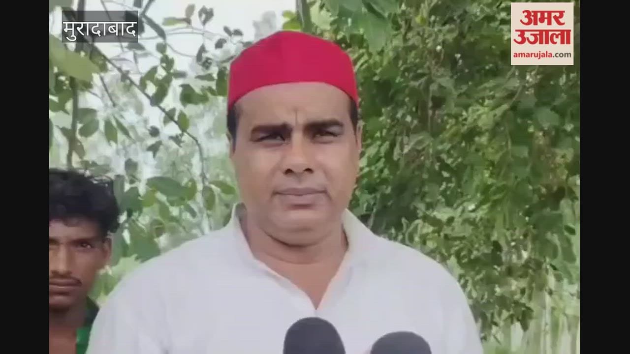 Bilari MLA makes controversial remark; calls Dimple Yadav the 'mother of the nation