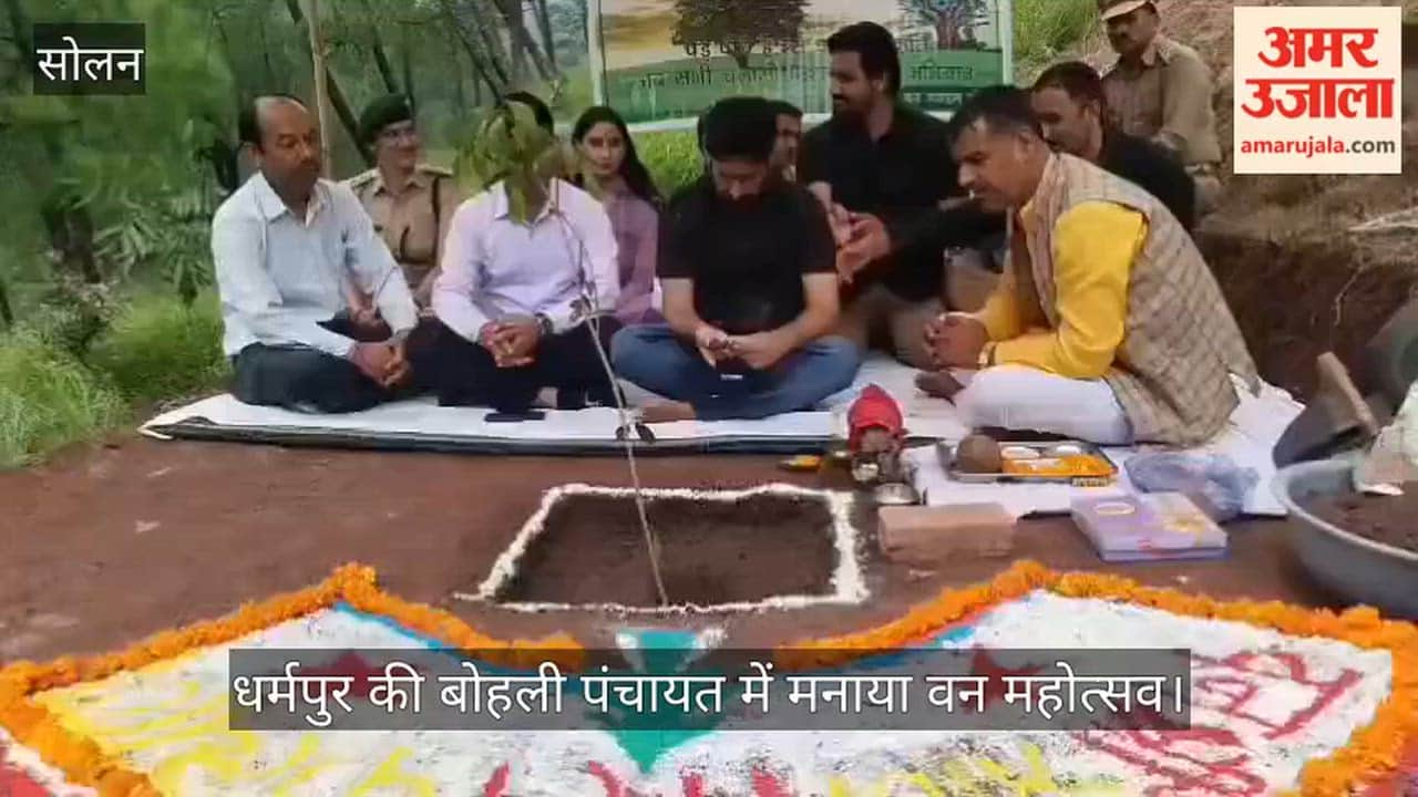 Solan: Van Mahotsav celebrated in Dharampur's Bohli Panchayat; 800 saplings planted in the forest area.
