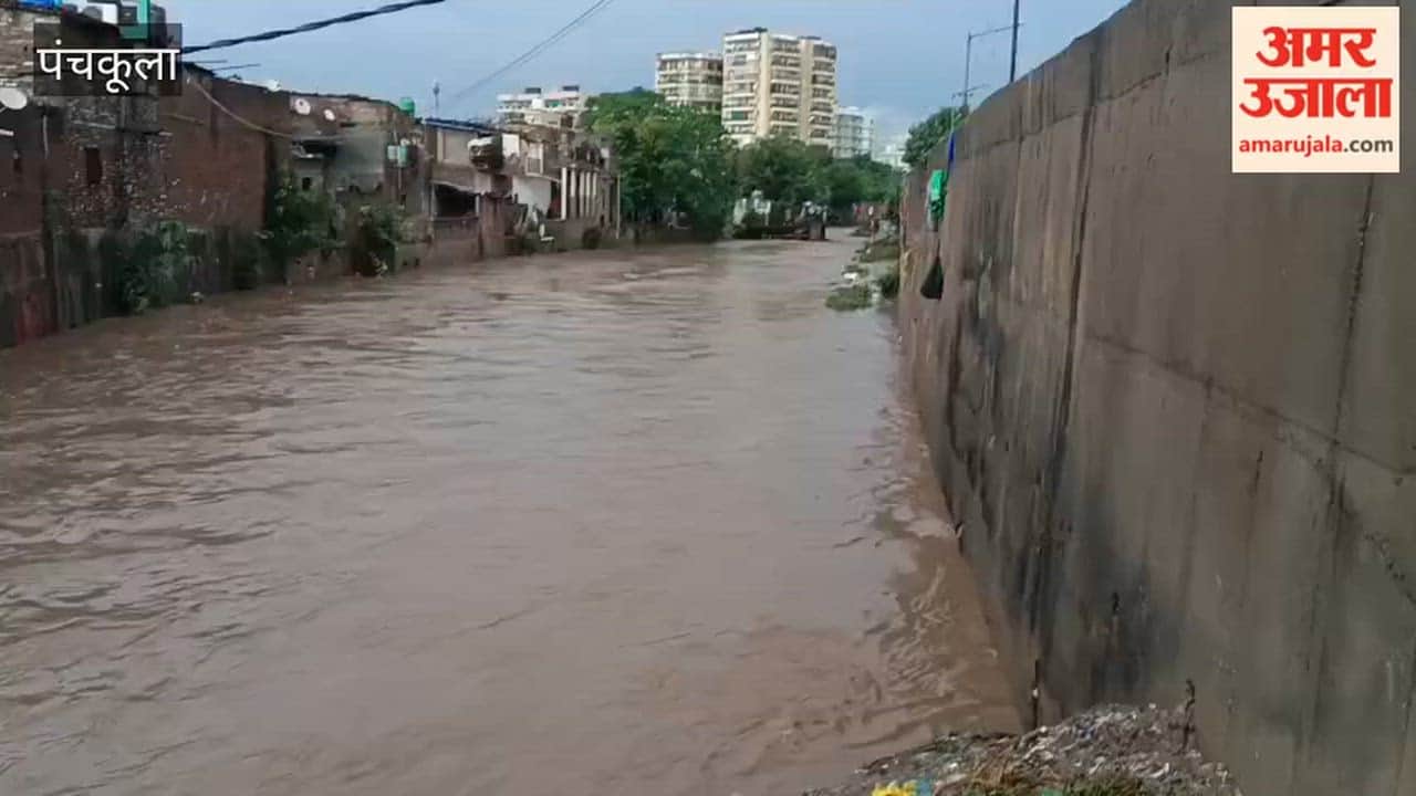 Man swept away in a drain in Panchkula's Rajiv Colony