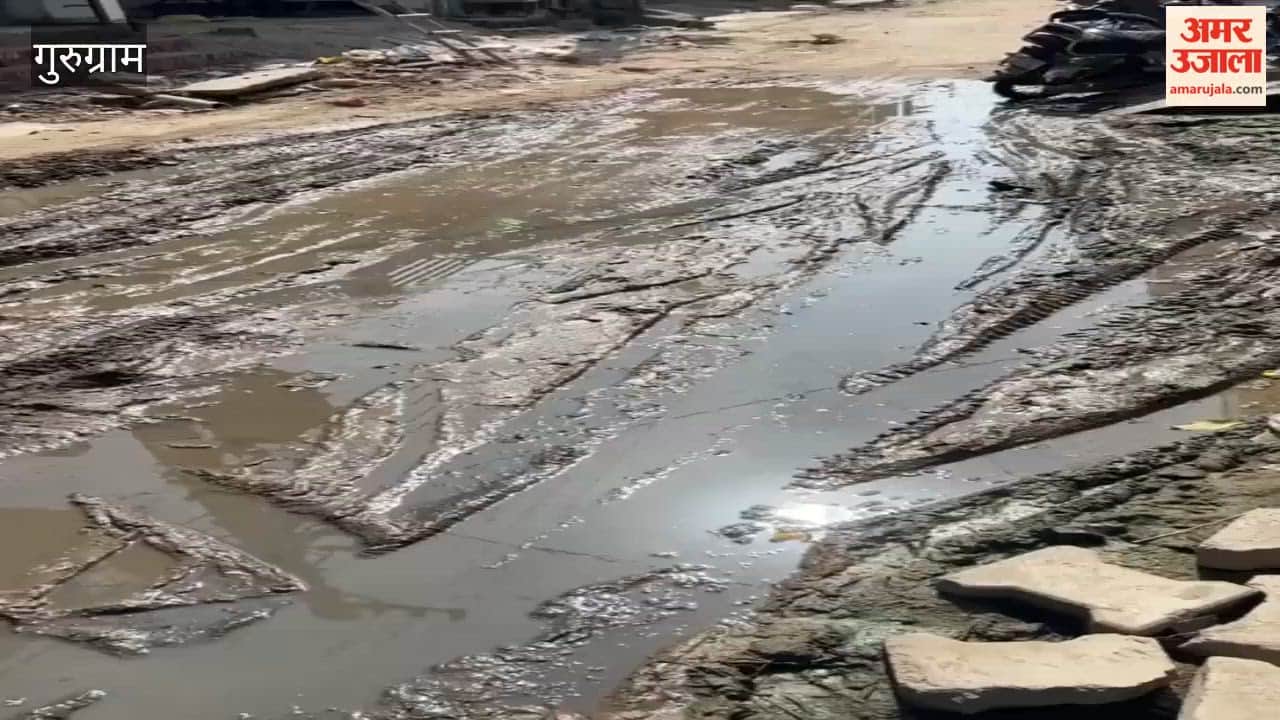 Mud and sewage plague streets of Rajendra Park residents distressed