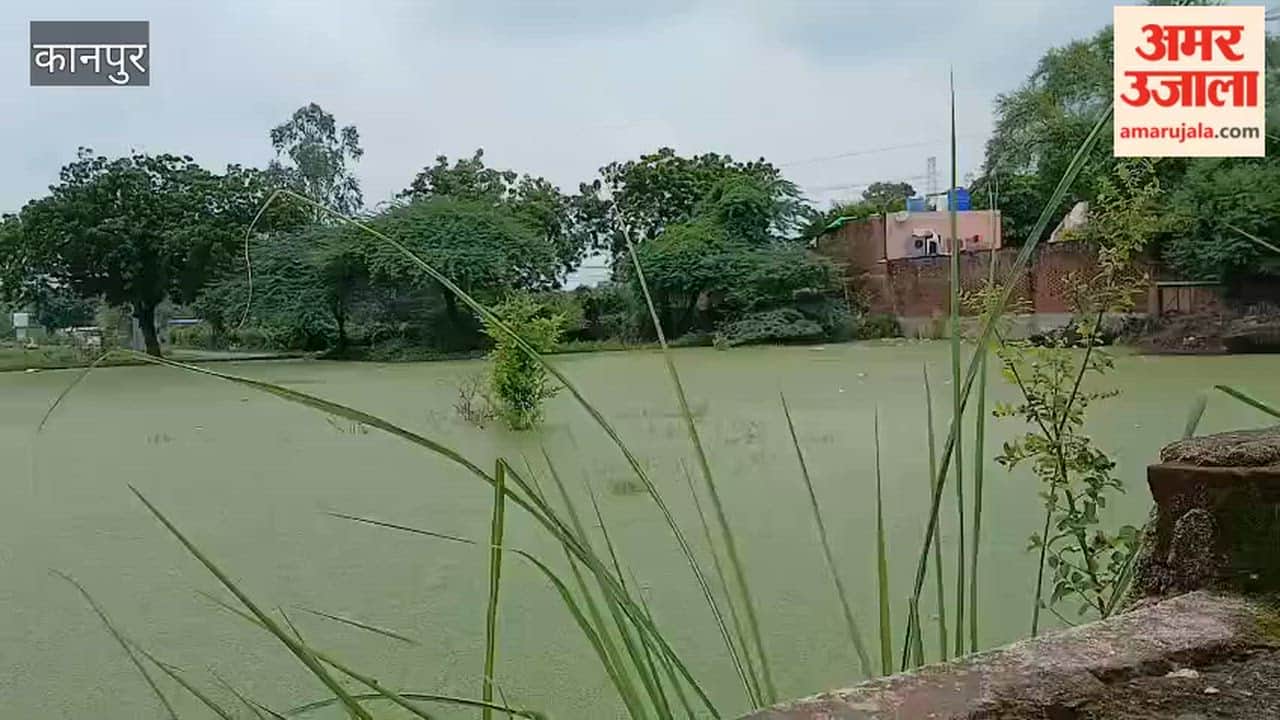 Waterlogging and Risk of Disease in Ratanpur Village near Panki Power House Plant