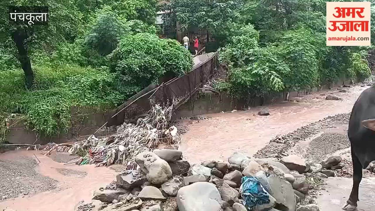 Bridge in Kalka's Handia locality damaged due to rain and strong river currents.