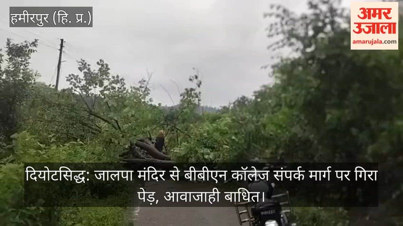 Diyotsidh: Tree falls on the Jalpa Temple-BBN College connecting road; traffic disrupted.