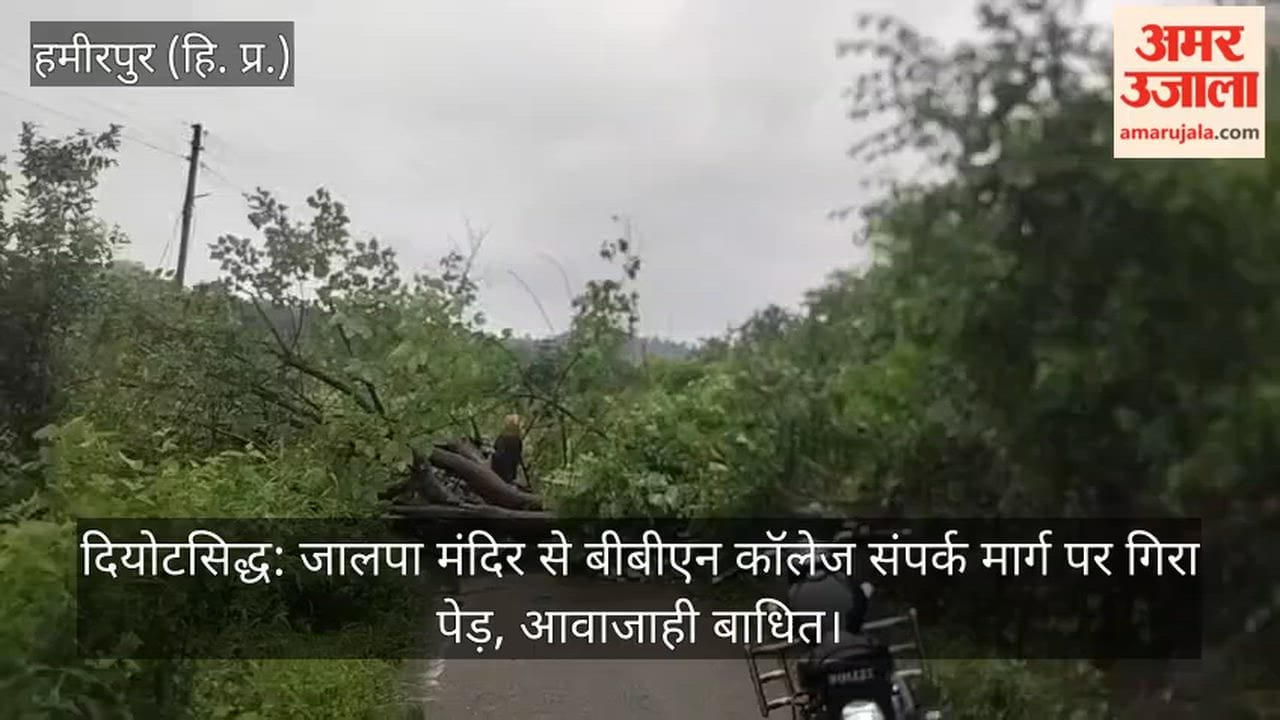 Diyotsidh: Tree falls on the Jalpa Temple-BBN College connecting road; traffic disrupted.