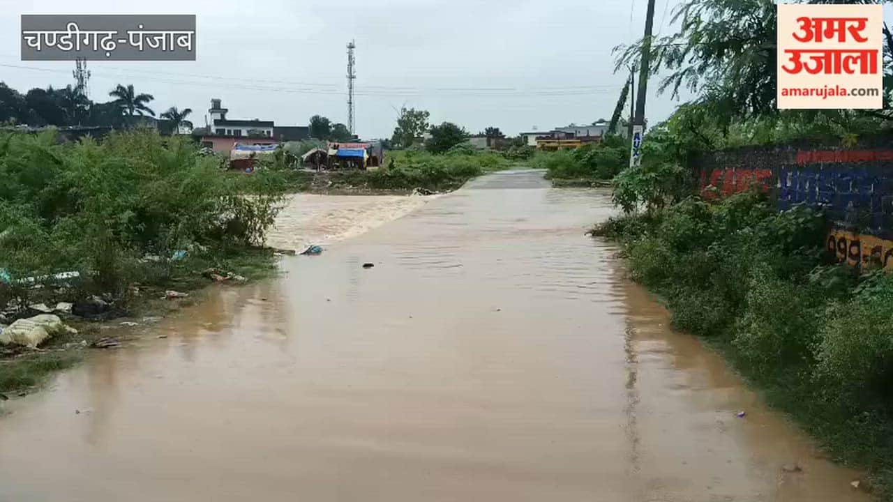 Water level rises in the ravine near Civil Hospital Pathankot due to rain; water is flowing over the road.