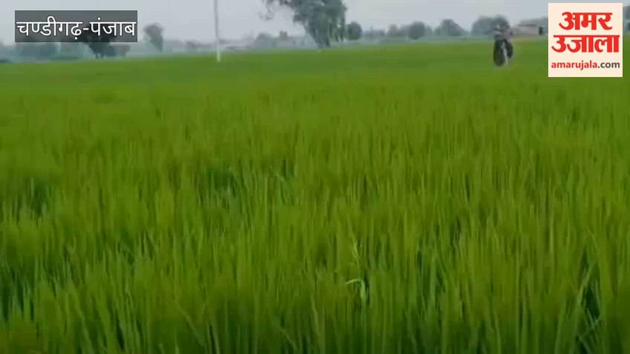 A Pakistani drone carrying heroin crashed to the ground in the border village of Kalu Wala in Ferozepur.