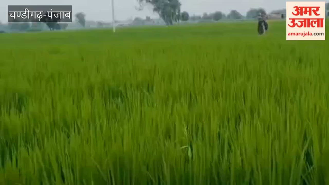 A Pakistani drone carrying heroin crashed to the ground in the border village of Kalu Wala in Ferozepur.