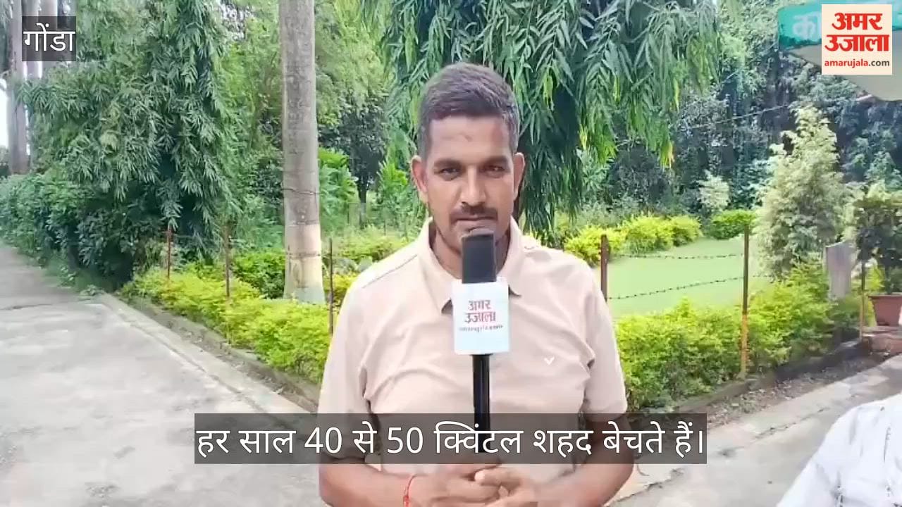 VIDEO: बैलगाड़ी चलाने वाले रामशंकर मधुमक्खी पालन से कमा रहे 10-12 लाख रुपये
