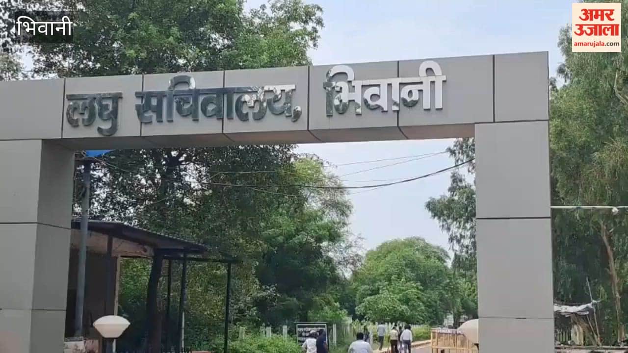 Bhiwani Patwaris and Kanungos stage a two-day symbolic protest against flaws in the new software and DCS.