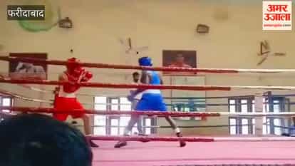 Impressive performance by Faridabad boxers; won four medals at the state-level competition.