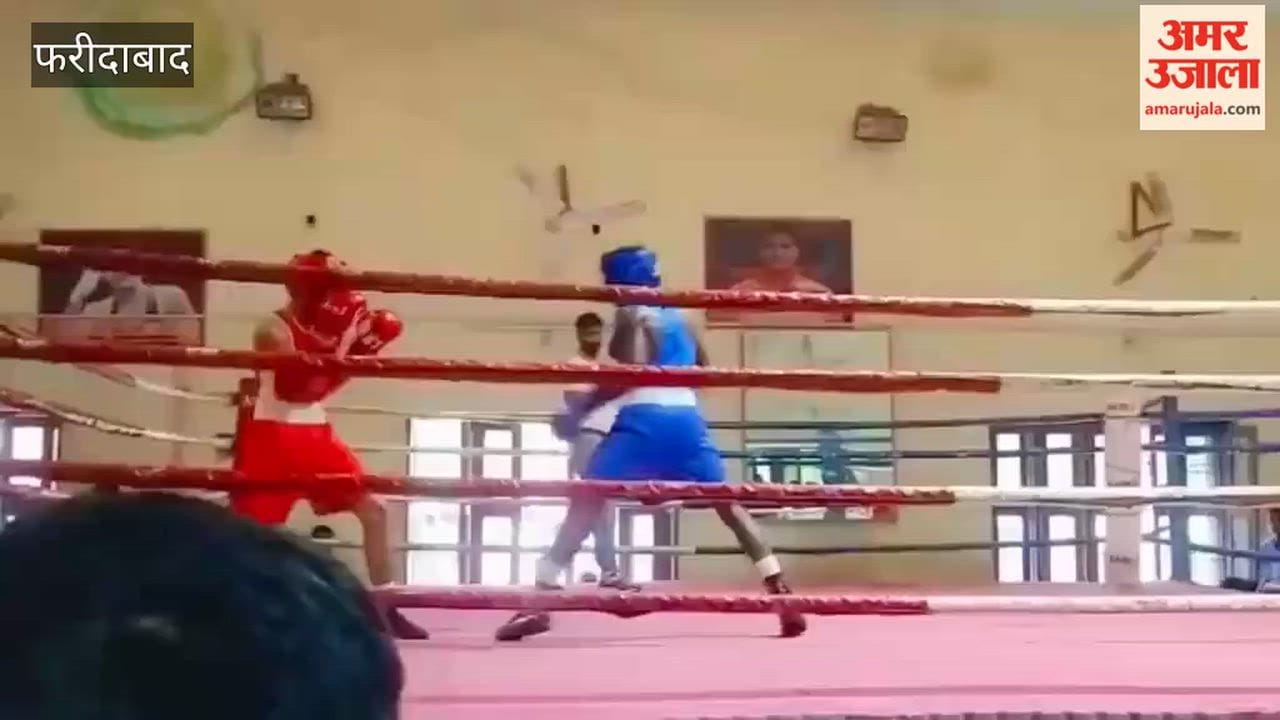 Impressive performance by Faridabad boxers; won four medals at the state-level competition.