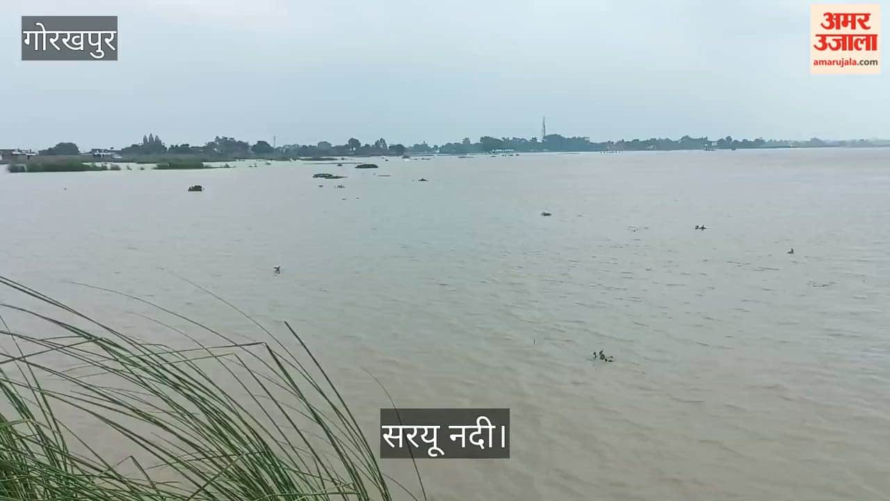 Saryu 90 cm above danger mark; 790 hectares of agricultural land affected.