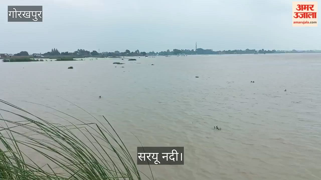 Saryu 90 cm above danger mark; 790 hectares of agricultural land affected.