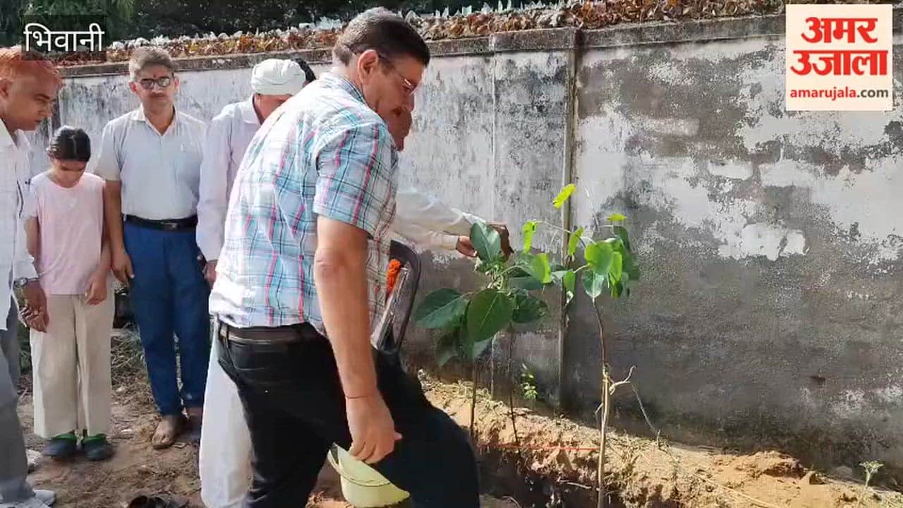 'Triveni' plantation held at Ramlila Ground in Bhiwani on the 73rd birth anniversary of 'Raktveer' Master Pyarelal Sangwan.