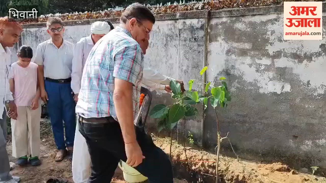 'Triveni' plantation held at Ramlila Ground in Bhiwani on the 73rd birth anniversary of 'Raktveer' Master Pyarelal Sangwan.