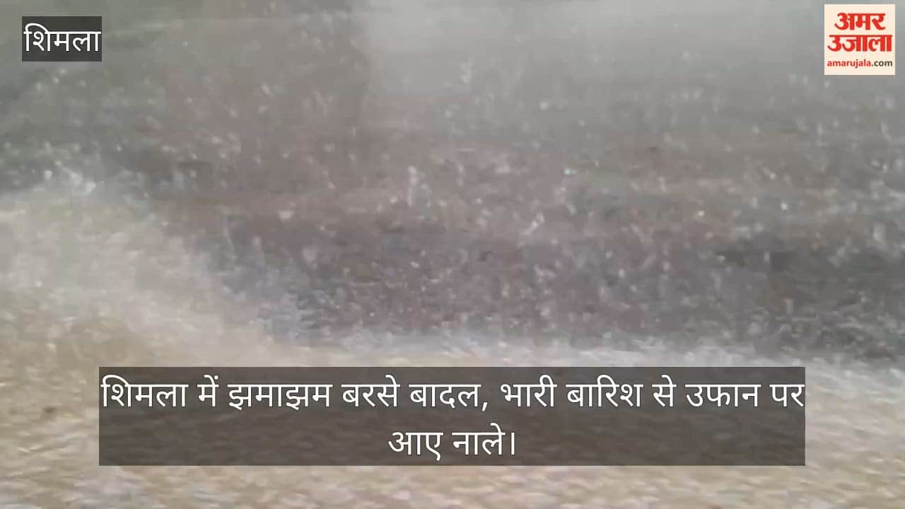 Video: Heavy downpour in Shimla; streams in spate due to torrential rain.
