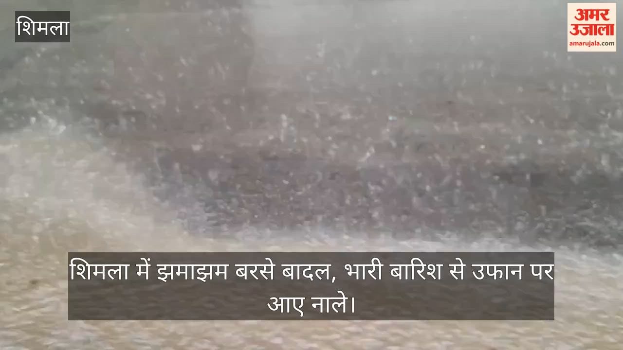 Video: Heavy downpour in Shimla; streams in spate due to torrential rain.
