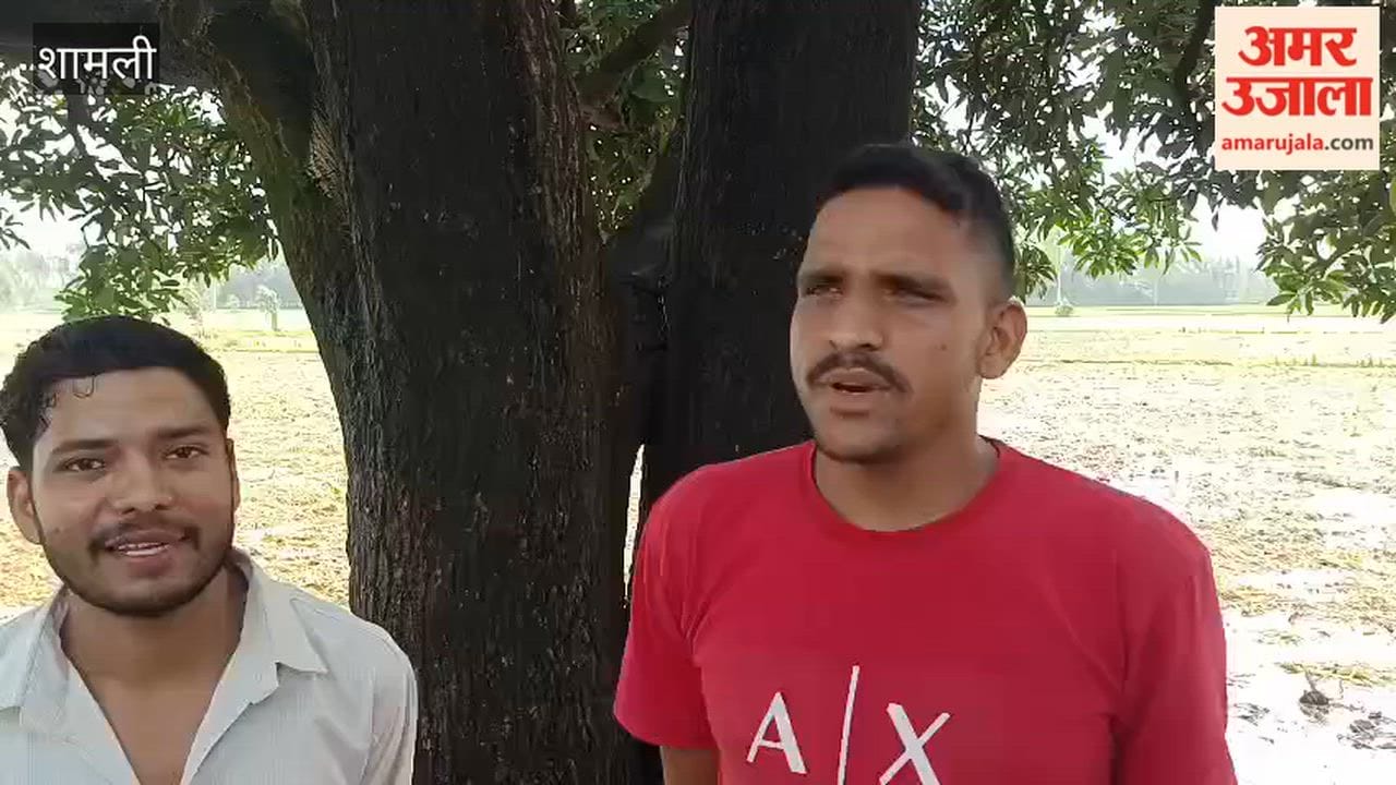 Shamli: Cables Stolen From Seven Tube Wells in One Night, Farmers Angry