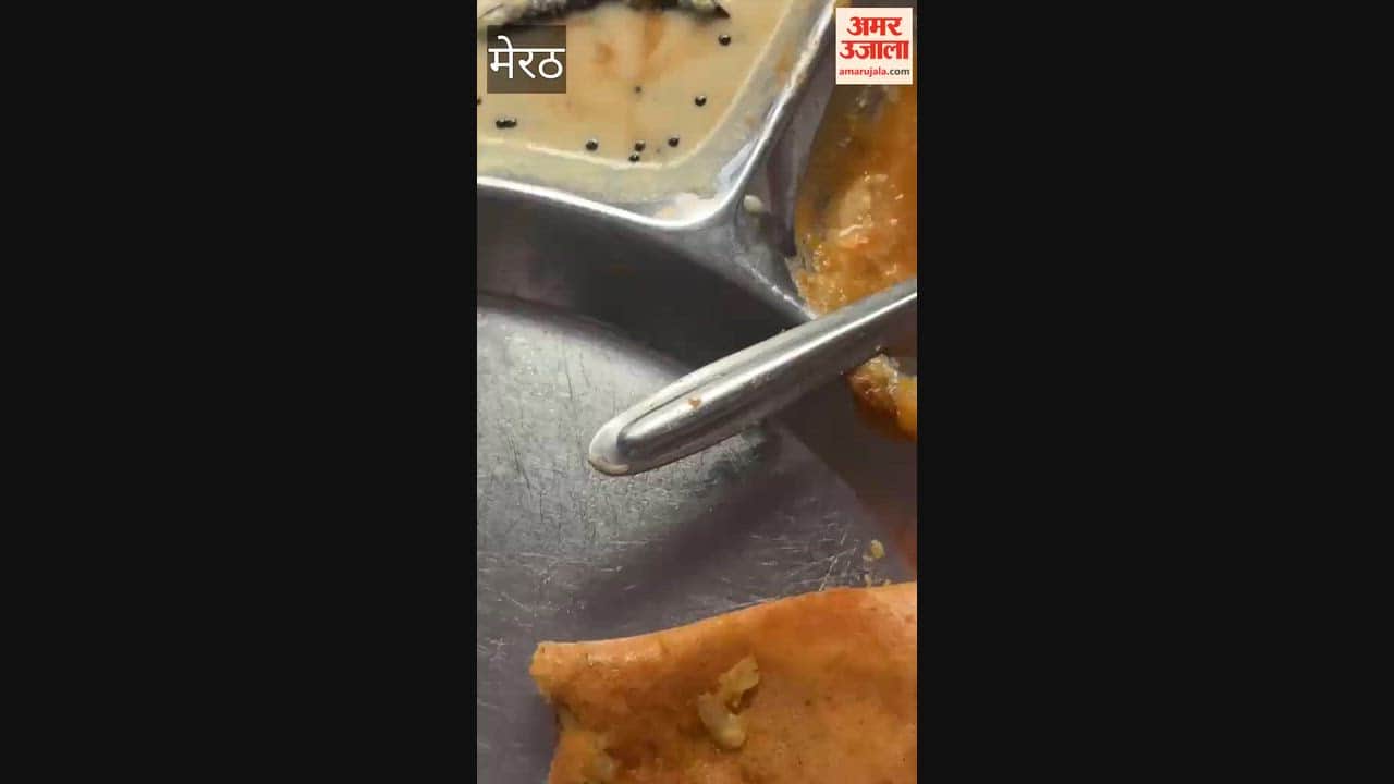 Meerut: Worms Found in Food at Madrasi Dosa Restaurant in Meerut