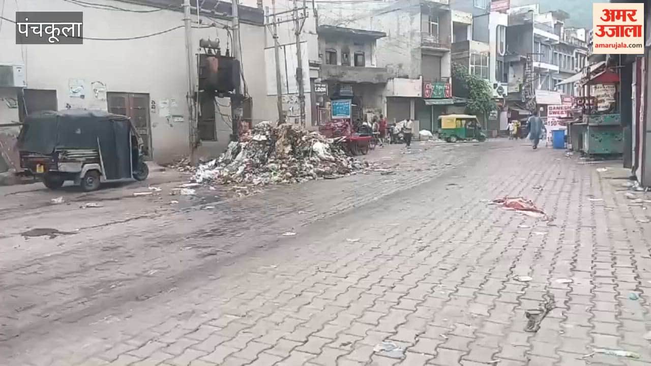 Garbage piles up in Kalka due to sanitation workers' strike; rain exacerbates the stench