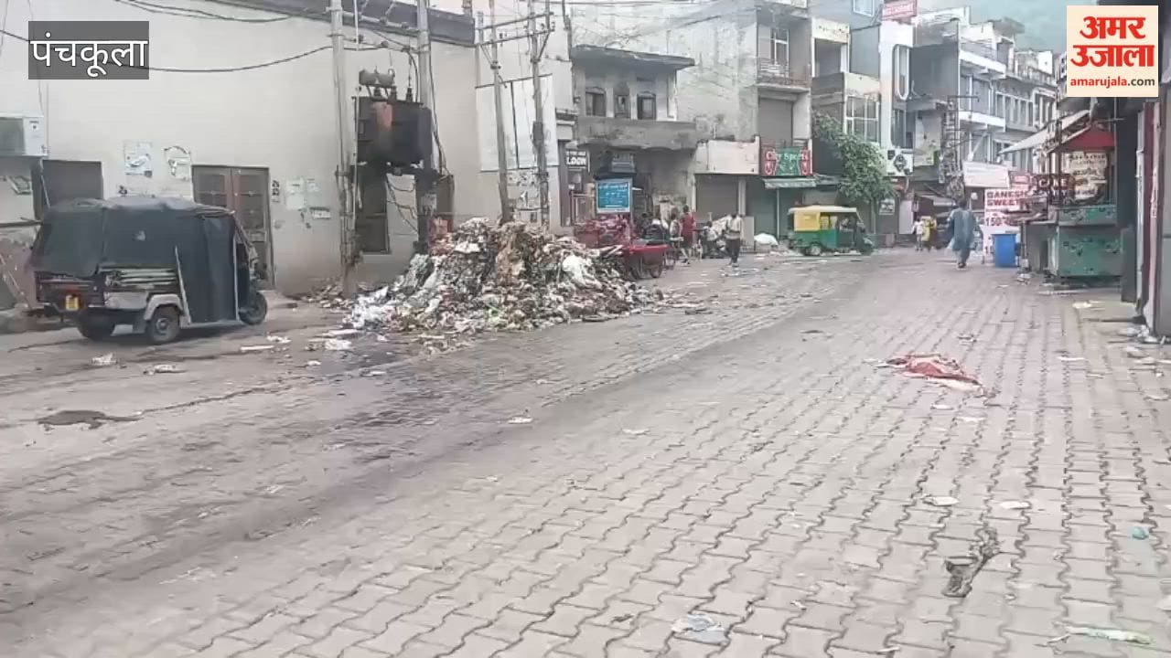 Garbage piles up in Kalka due to sanitation workers' strike; rain exacerbates the stench