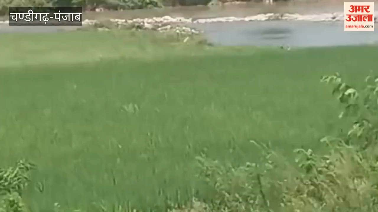 Allegations of illegal mining along the course of the old Shah Canal in Ulaha village have sparked widespread resentment among the villagers