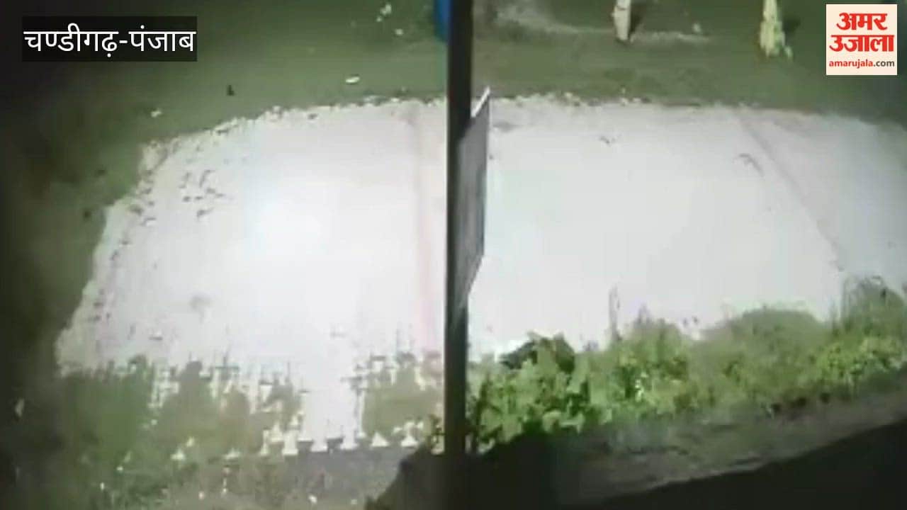 Panic in Talwara Township over viral leopard video; demand for action from Wildlife Department