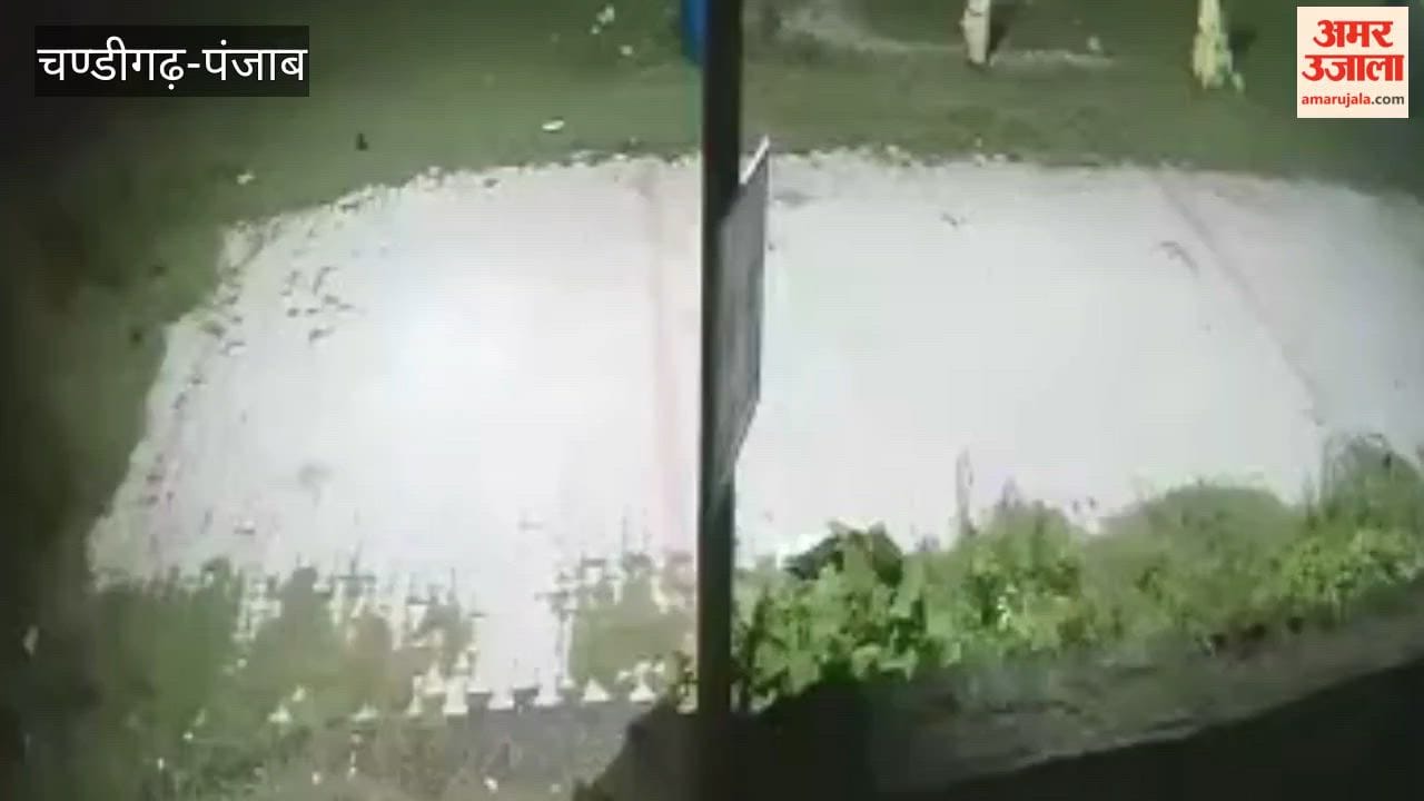 Panic in Talwara Township over viral leopard video; demand for action from Wildlife Department