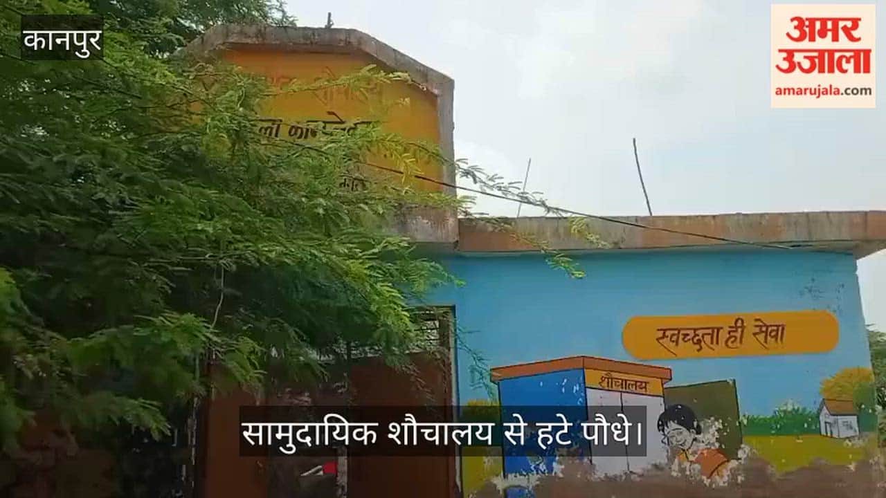 News Impact, Community Toilet, Plantation Drive, Dried Plants, Gambhirpur Village, Kalyanpur Block, Kanpur, Uttar Pradesh